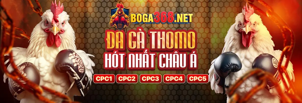 Lời khuyên từ chuyên gia bảo mật x888 win